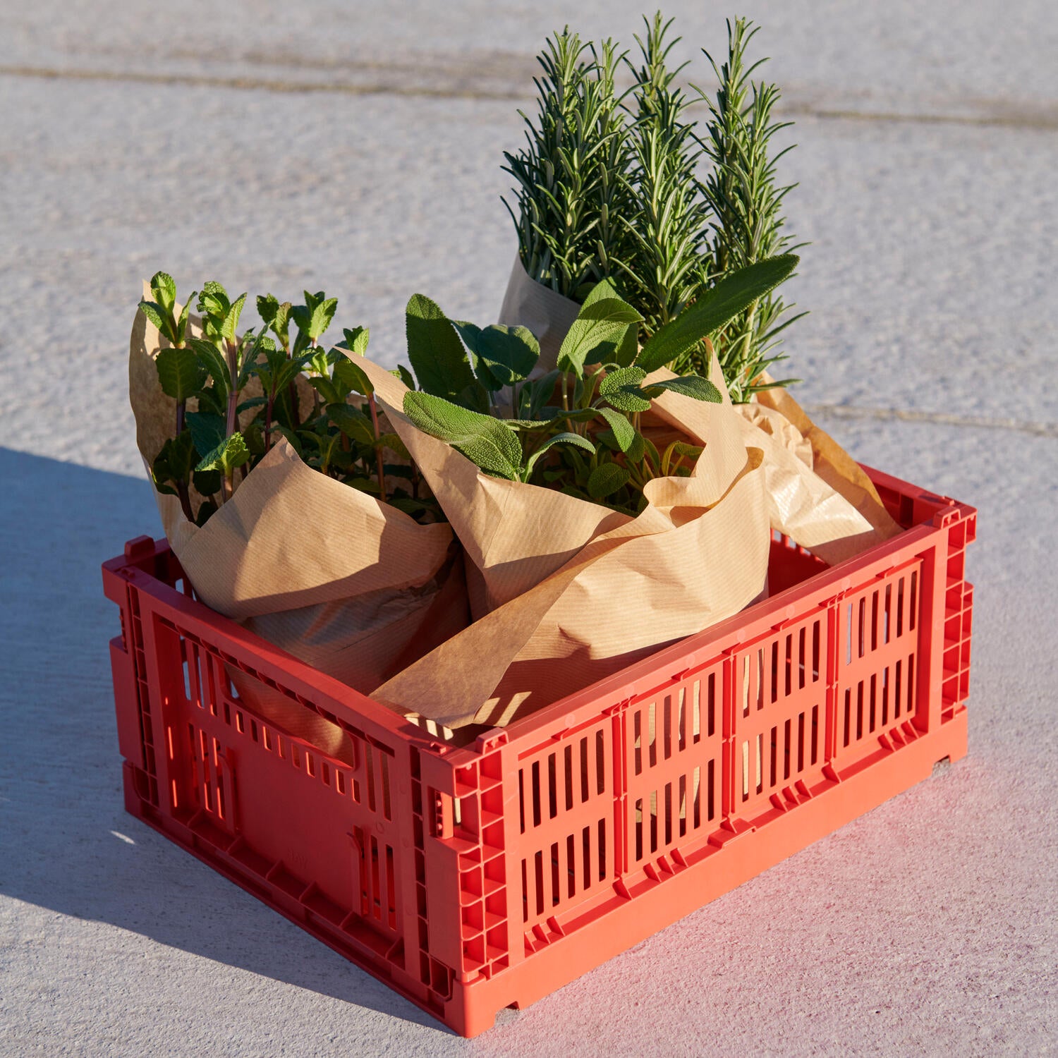 Colour Crate S kasse - rød